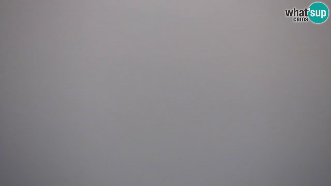 Webcam Dol pri Ljubljani – Panoramablick vom Vrh pri Dolskem