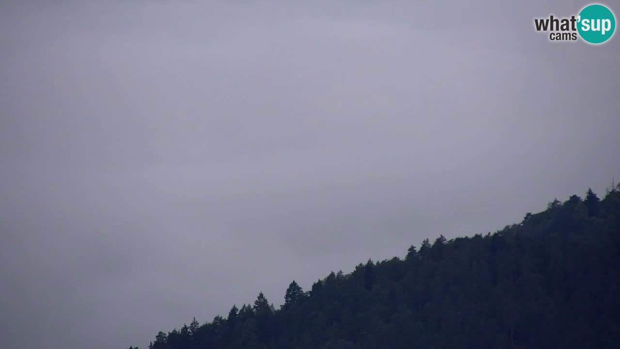 Webcam Dol pri Ljubljani – Panoramablick vom Vrh pri Dolskem