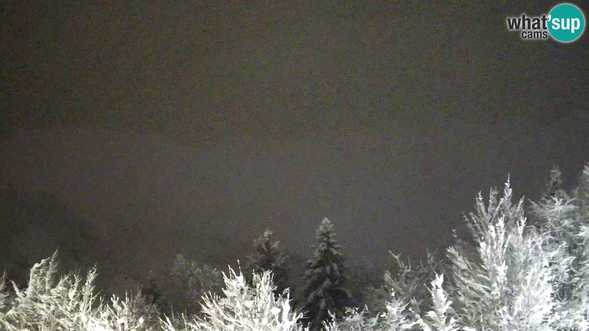 Camera en vivo Dražgoše