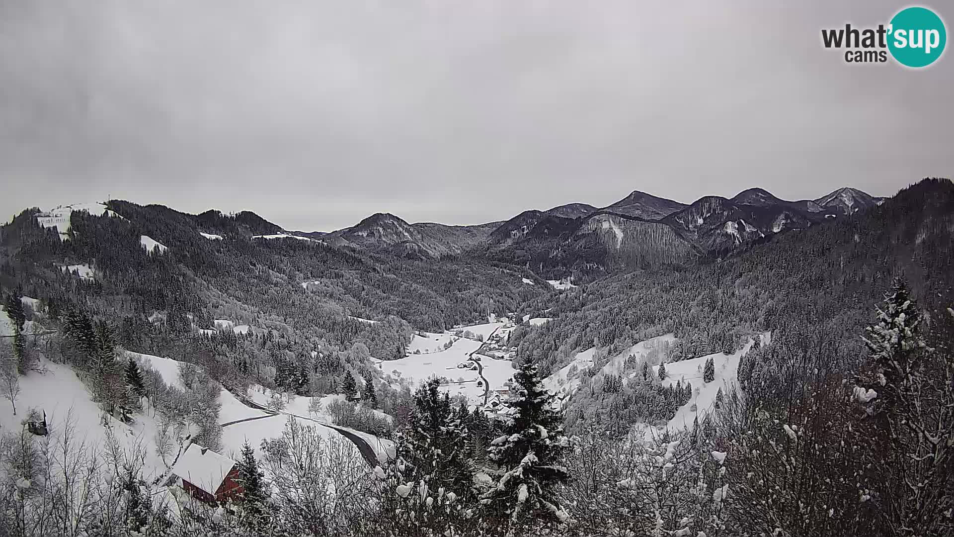 Live Cam Dražgoše