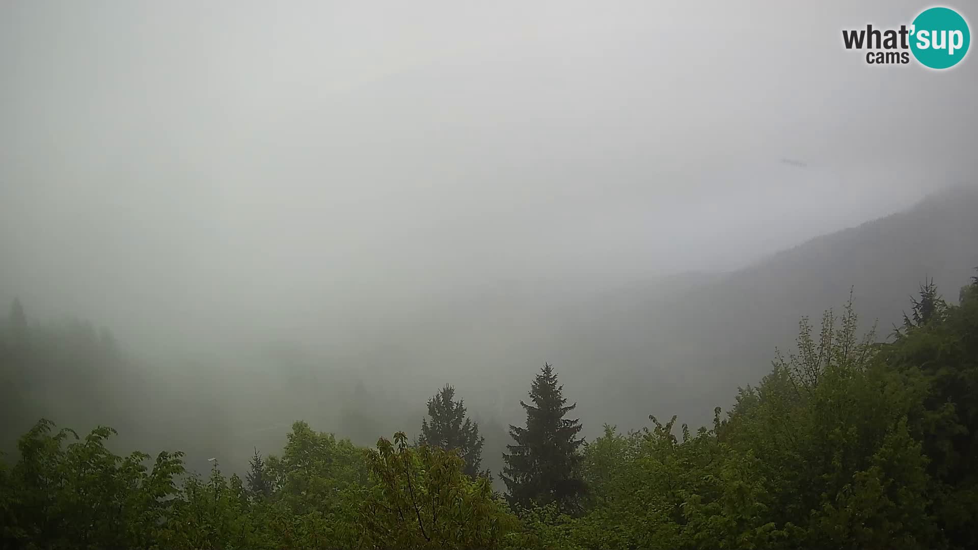 Live Cam Dražgoše
