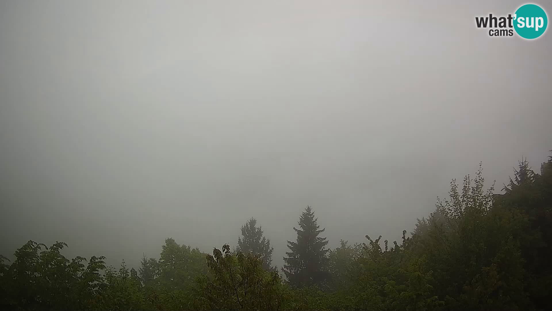 Camera en vivo Dražgoše