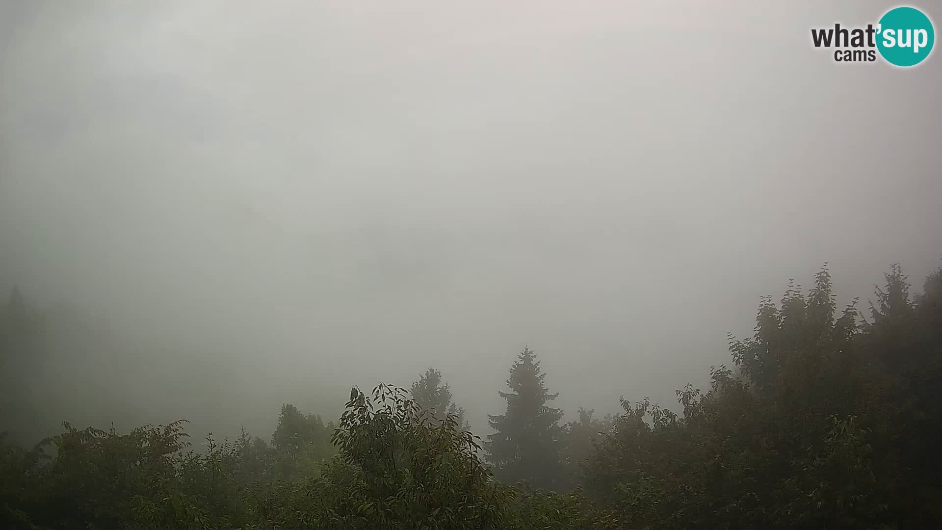 Live webcam Dražgoše