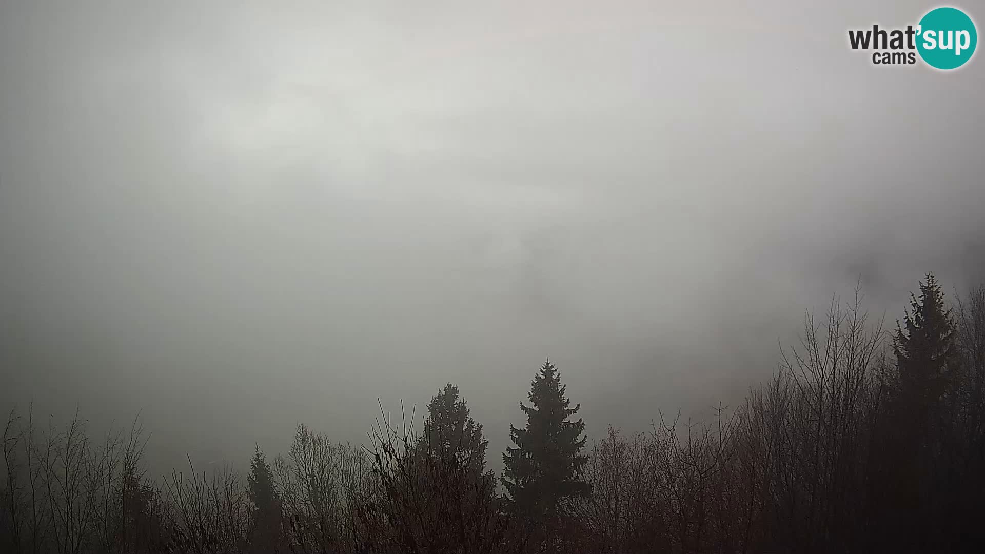 Livecam Dražgoše webcam