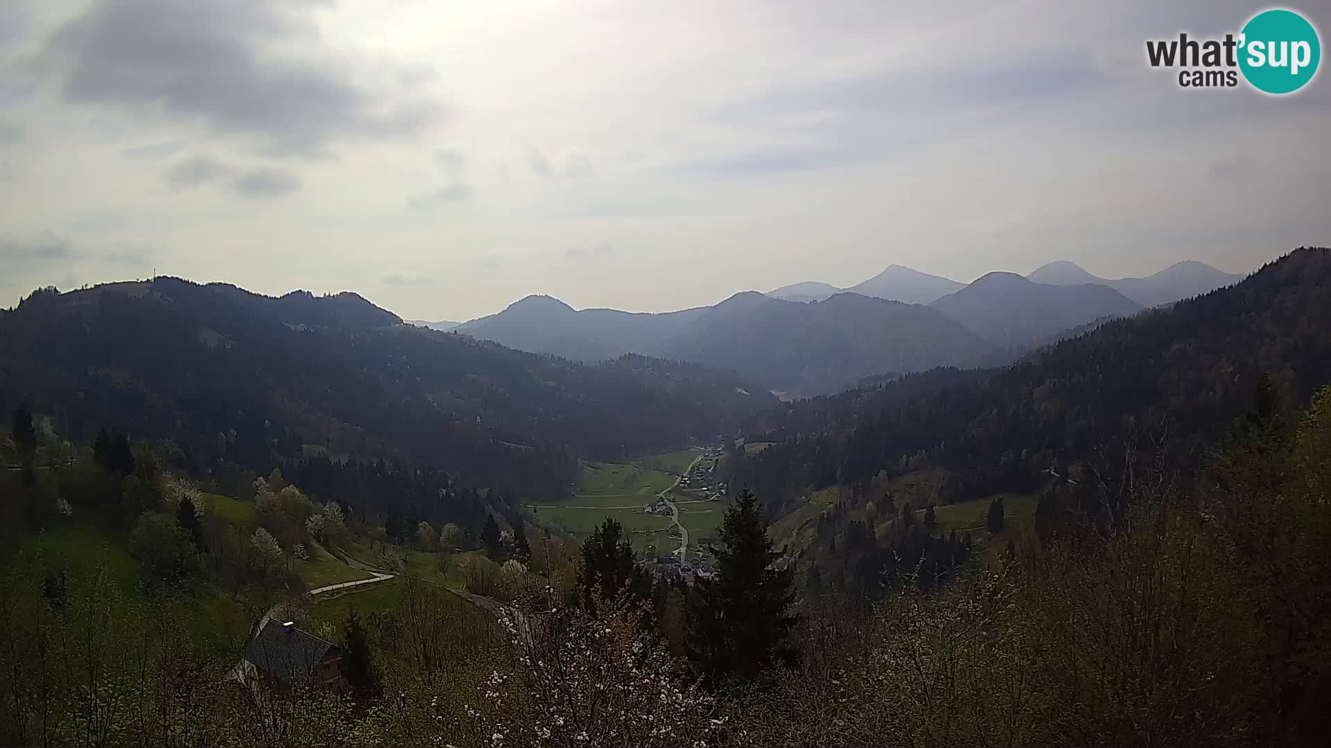 Livecam Dražgoše webcam