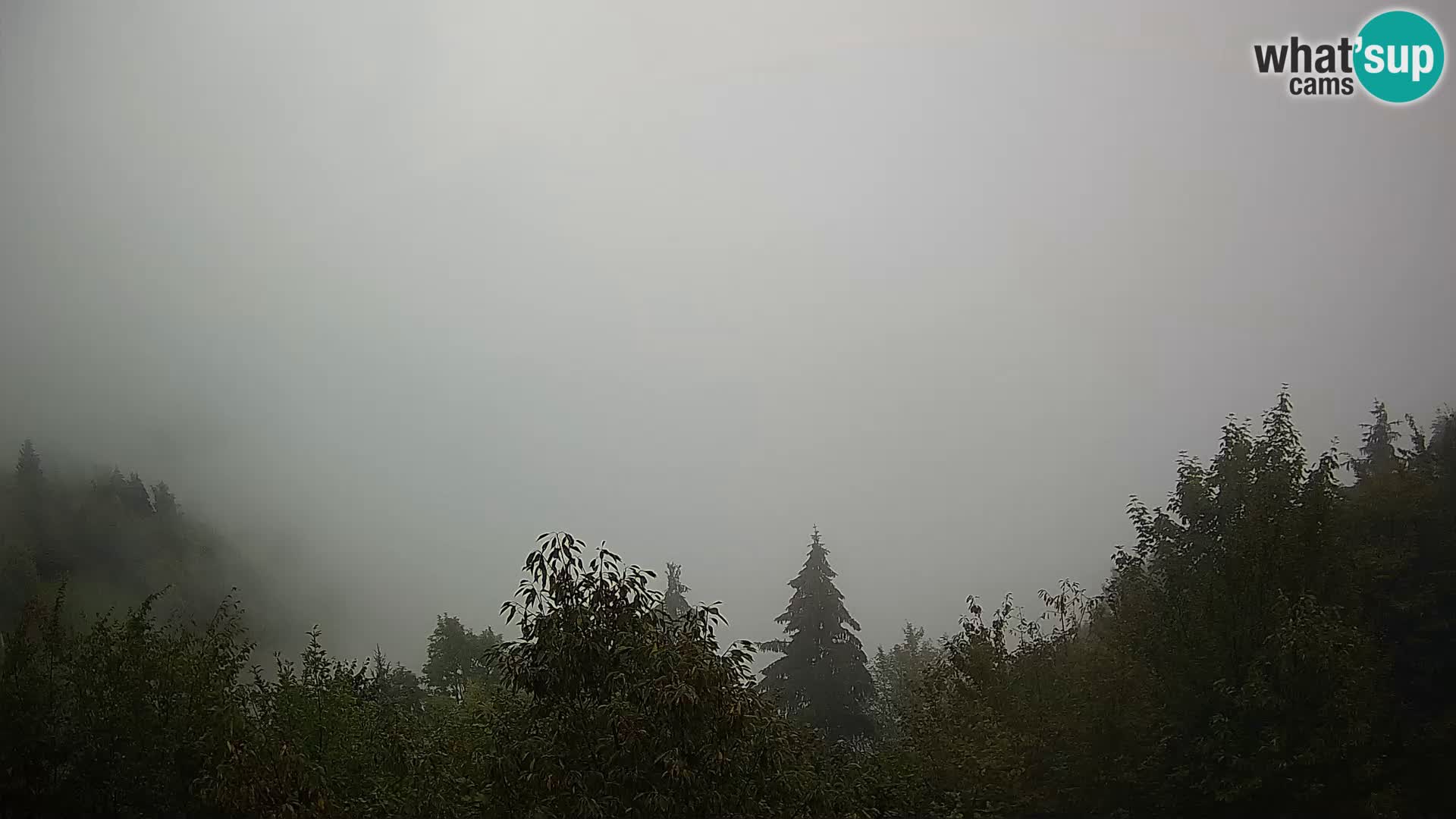Livecam Dražgoše webcam