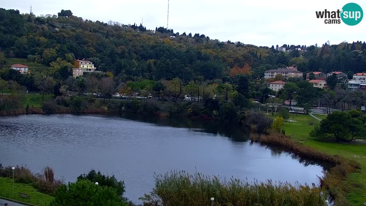 Camera en vivo Fiesa – Hotel Barbara