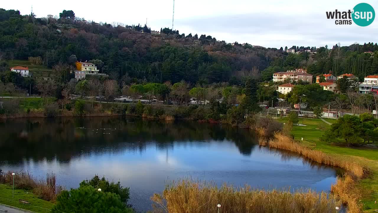 Camera en vivo Fiesa – Hotel Barbara