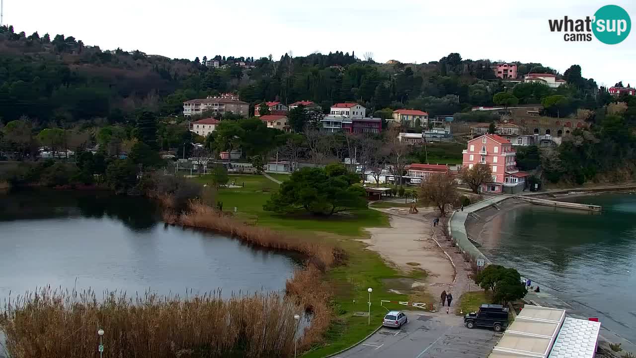 Camera en vivo Fiesa – Hotel Barbara