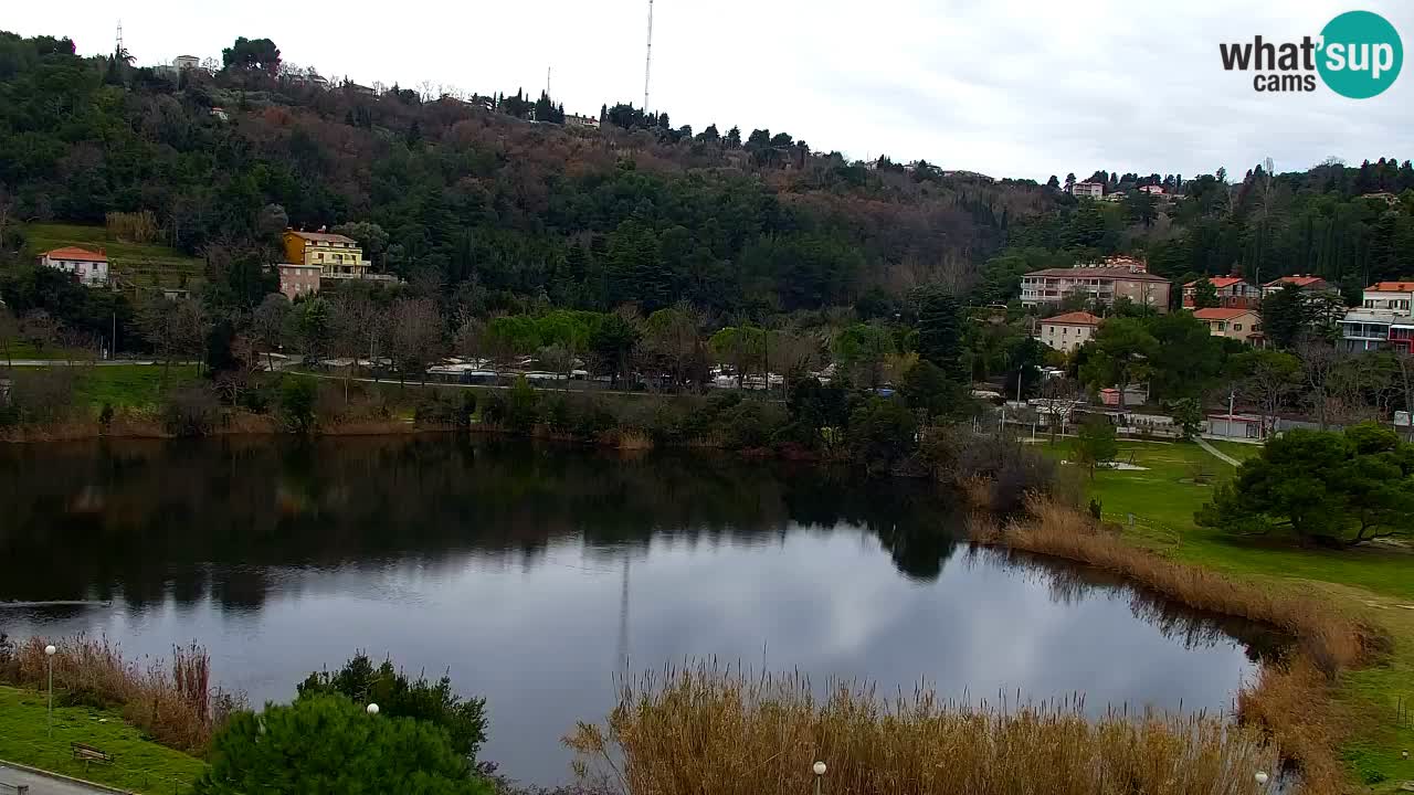 Camera en vivo Fiesa – Hotel Barbara