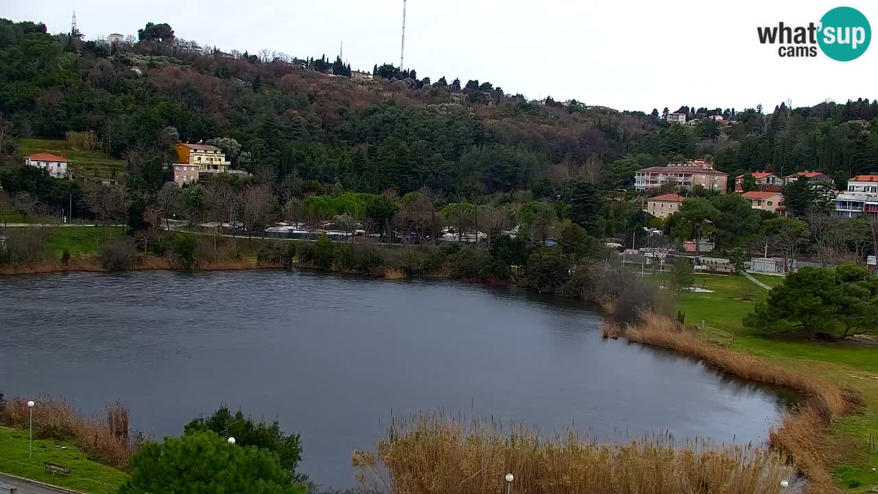 Camera en vivo Fiesa – Hotel Barbara