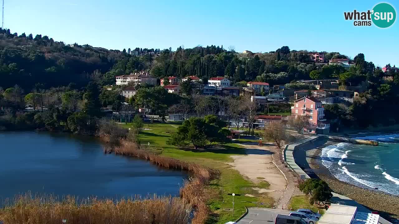 Camera en vivo Fiesa – Hotel Barbara