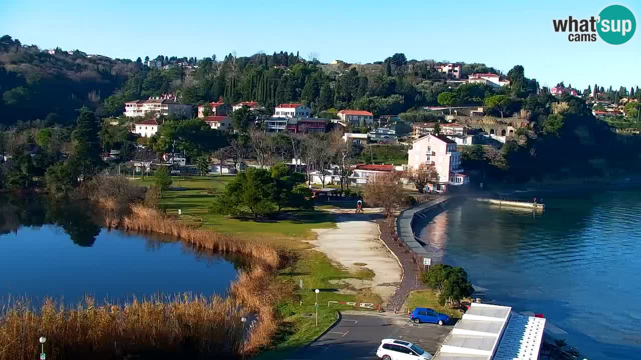 Camera en vivo Fiesa – Hotel Barbara