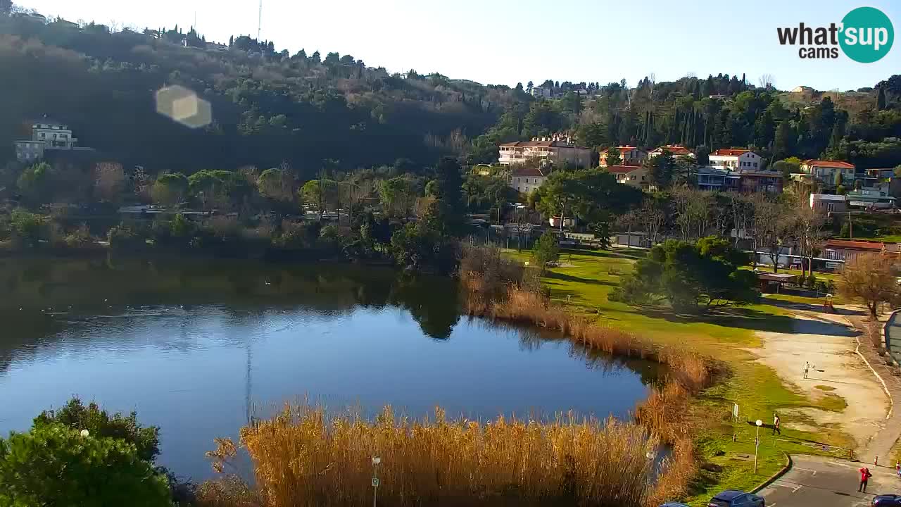 Camera en vivo Fiesa – Hotel Barbara