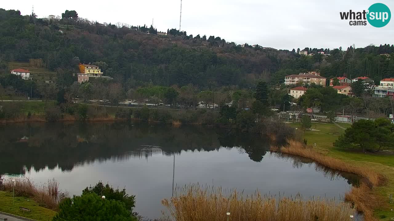 Camera en vivo Fiesa – Hotel Barbara