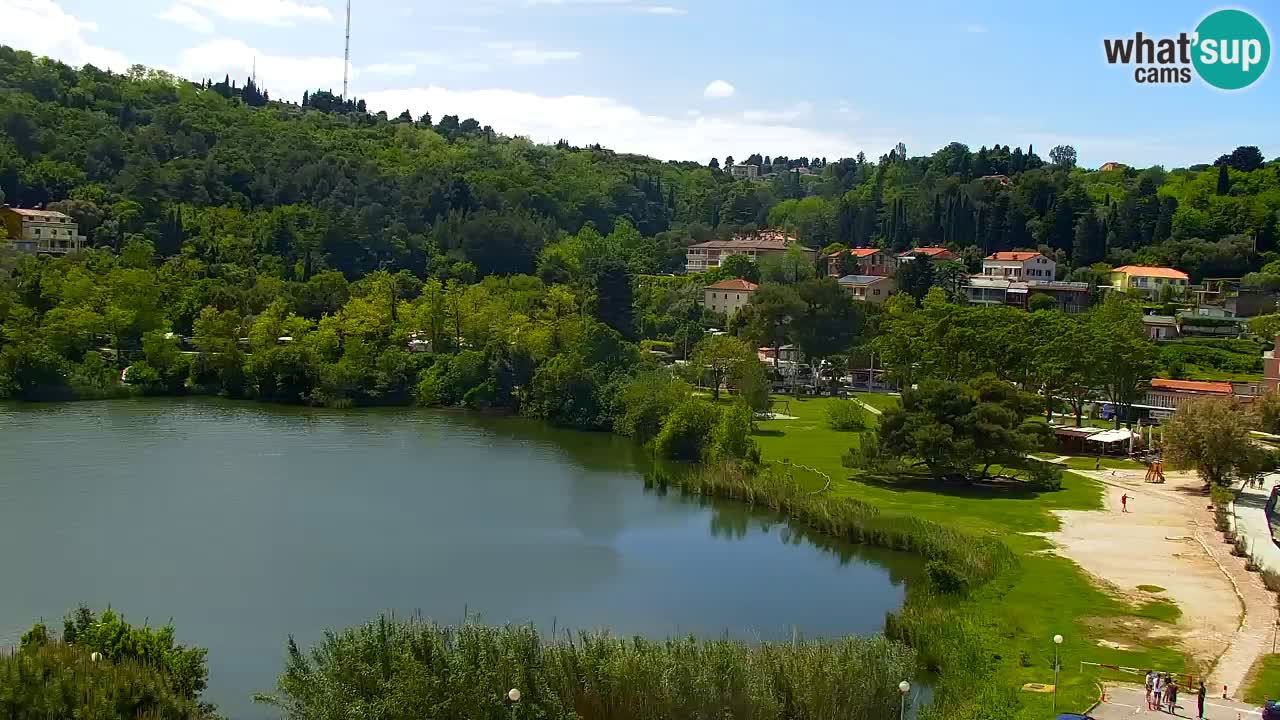 Camera en vivo Fiesa – Hotel Barbara