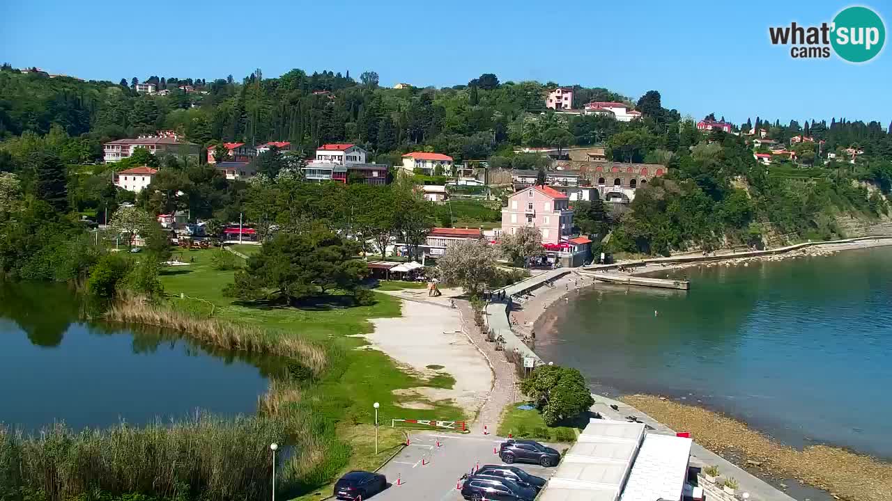 Camera en vivo Fiesa – Hotel Barbara