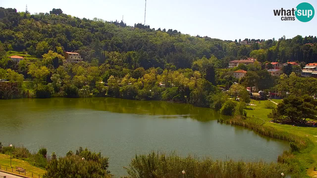 Livecam Fiesa – Hotel Barbara