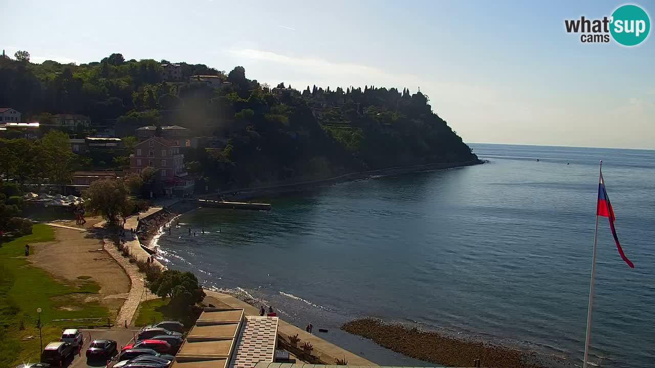 Camera en vivo Fiesa – Hotel Barbara