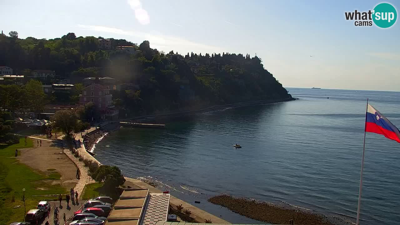 Camera en vivo Fiesa – Hotel Barbara
