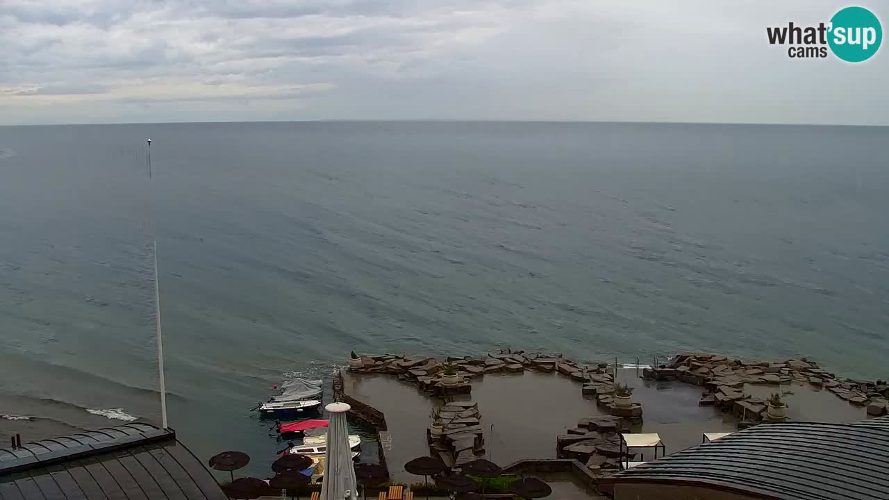 Camera en vivo Fiesa – Hotel Barbara