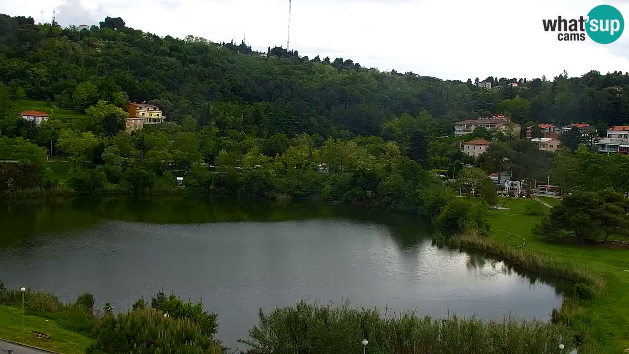 Livecam Fiesa – Hotel Barbara