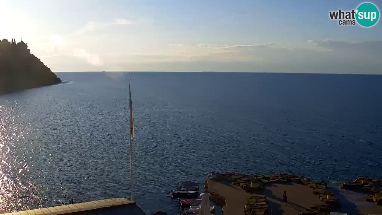 Camera en vivo Fiesa – Hotel Barbara