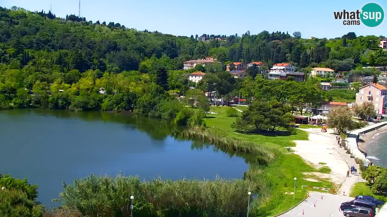 Camera en vivo Fiesa – Hotel Barbara