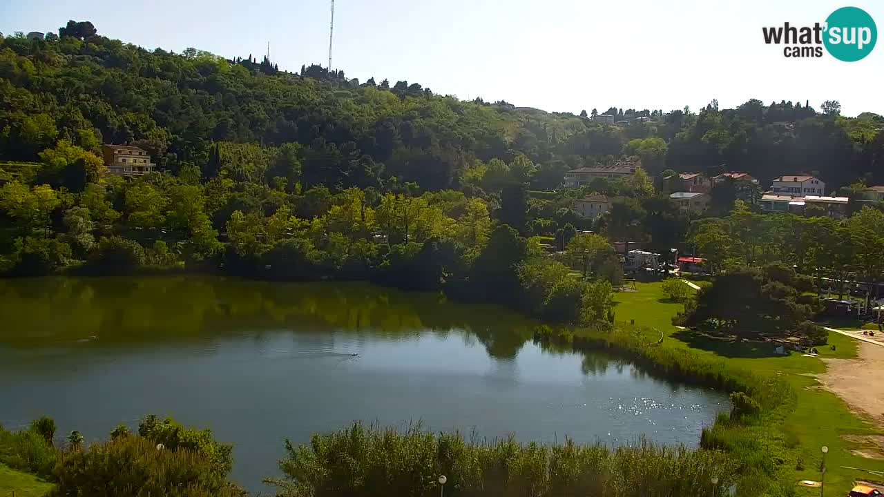 Camera en vivo Fiesa – Hotel Barbara