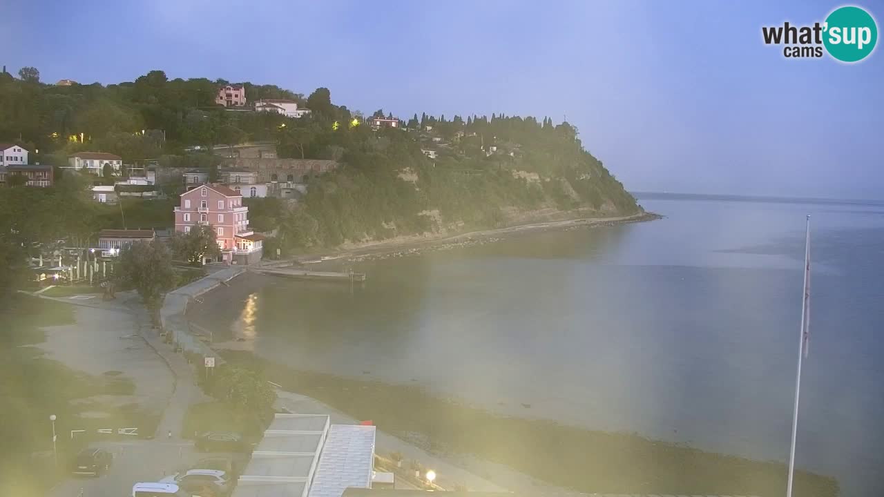Camera en vivo Fiesa – Hotel Barbara