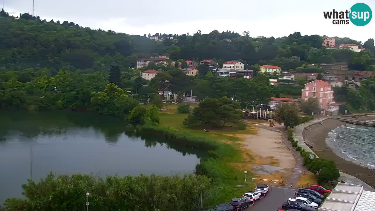 Camera en vivo Fiesa – Hotel Barbara