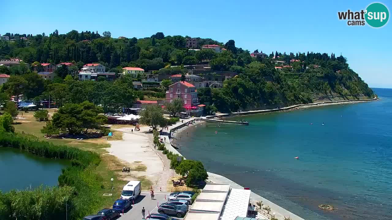 Camera en vivo Fiesa – Hotel Barbara