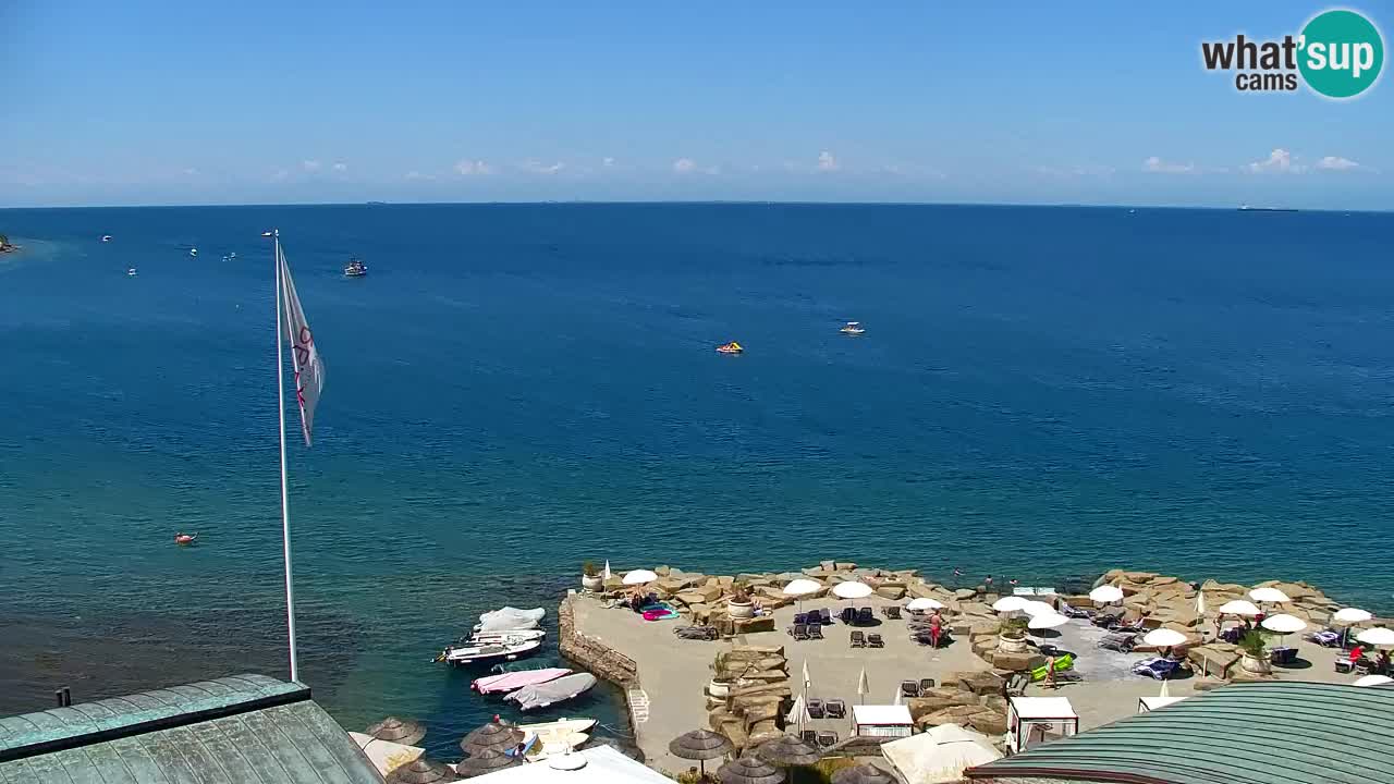 Camera en vivo Fiesa – Hotel Barbara