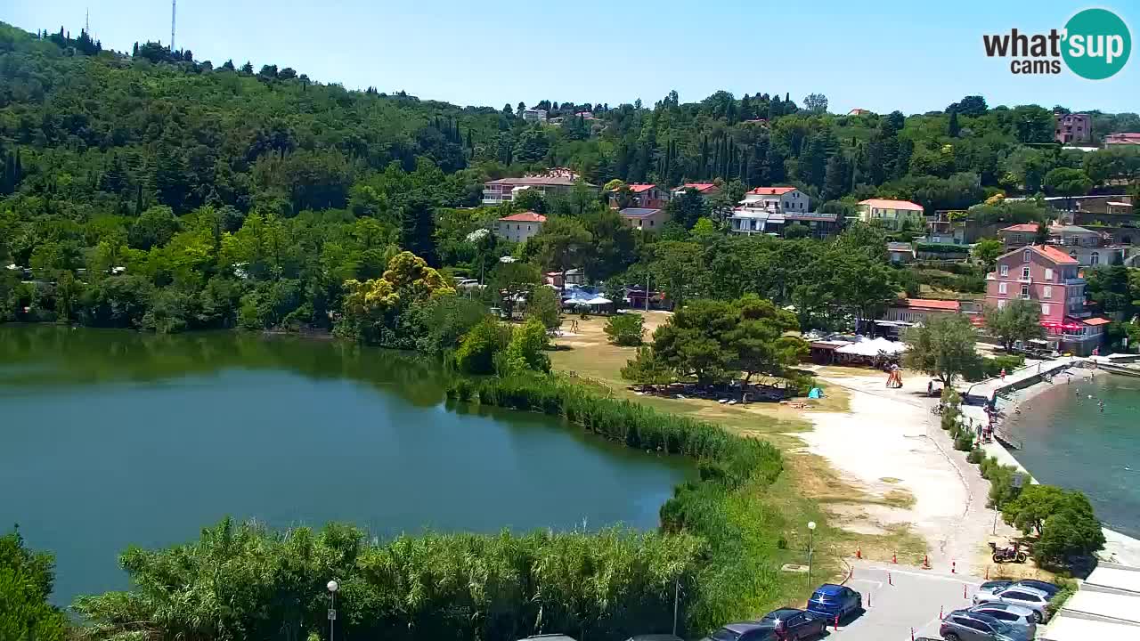 Camera en vivo Fiesa – Hotel Barbara
