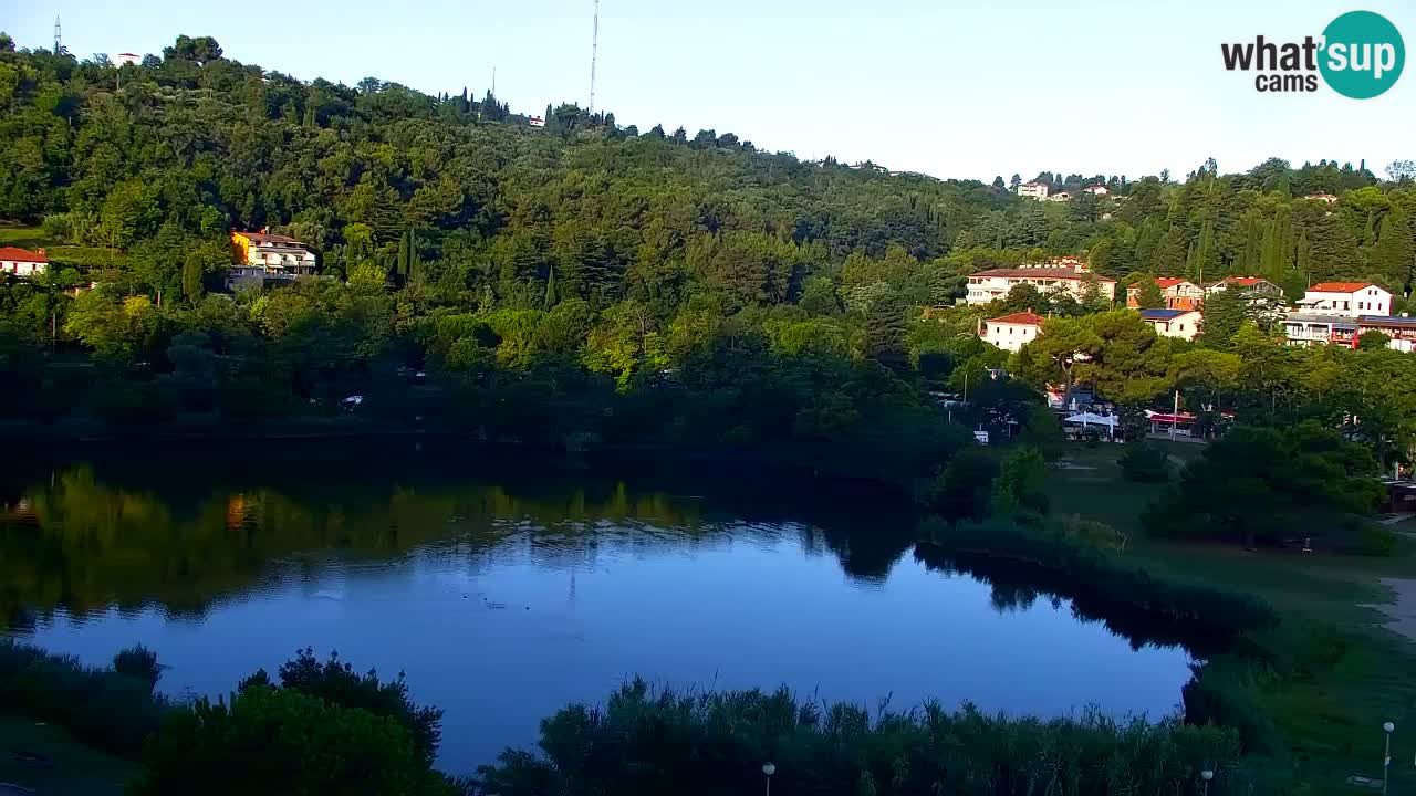 Camera en vivo Fiesa – Hotel Barbara