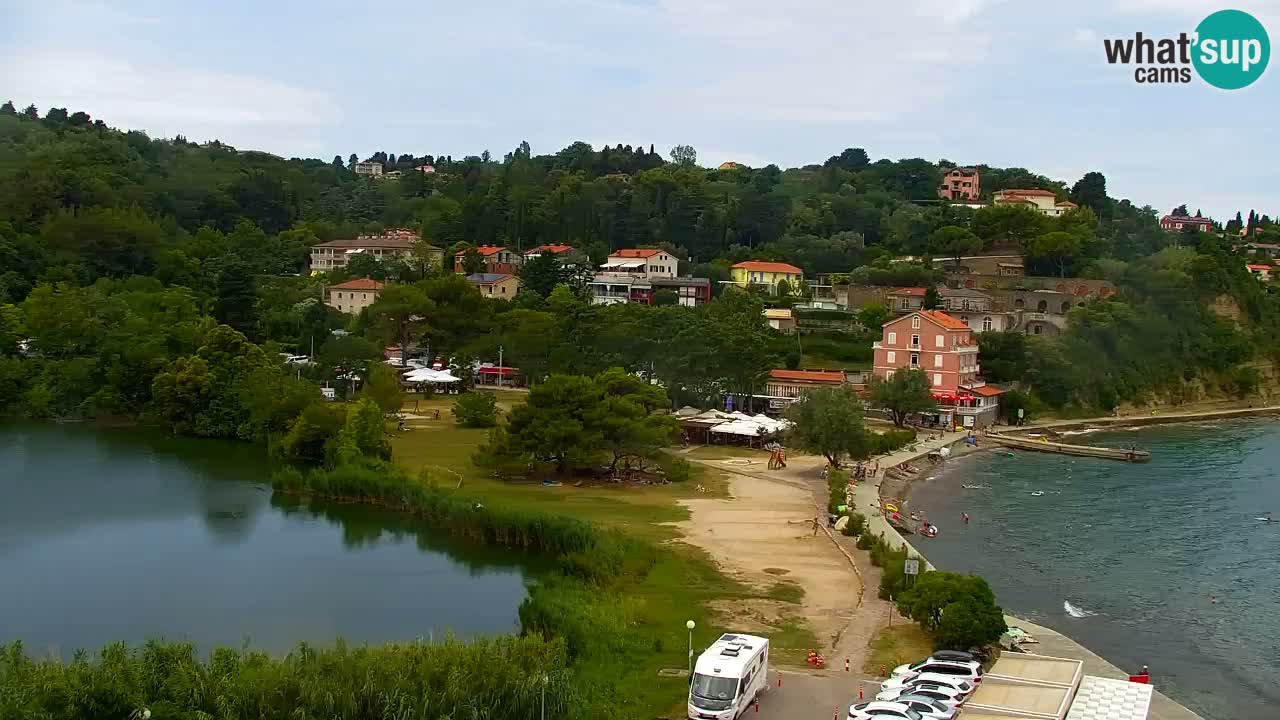 Camera en vivo Fiesa – Hotel Barbara