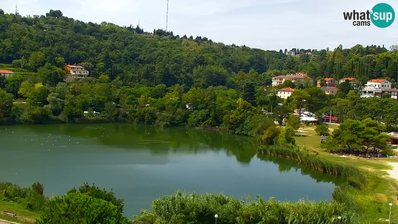 Camera en vivo Fiesa – Hotel Barbara