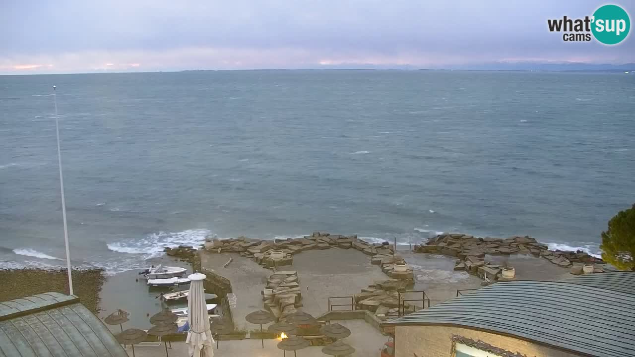 Camera en vivo Fiesa – Hotel Barbara