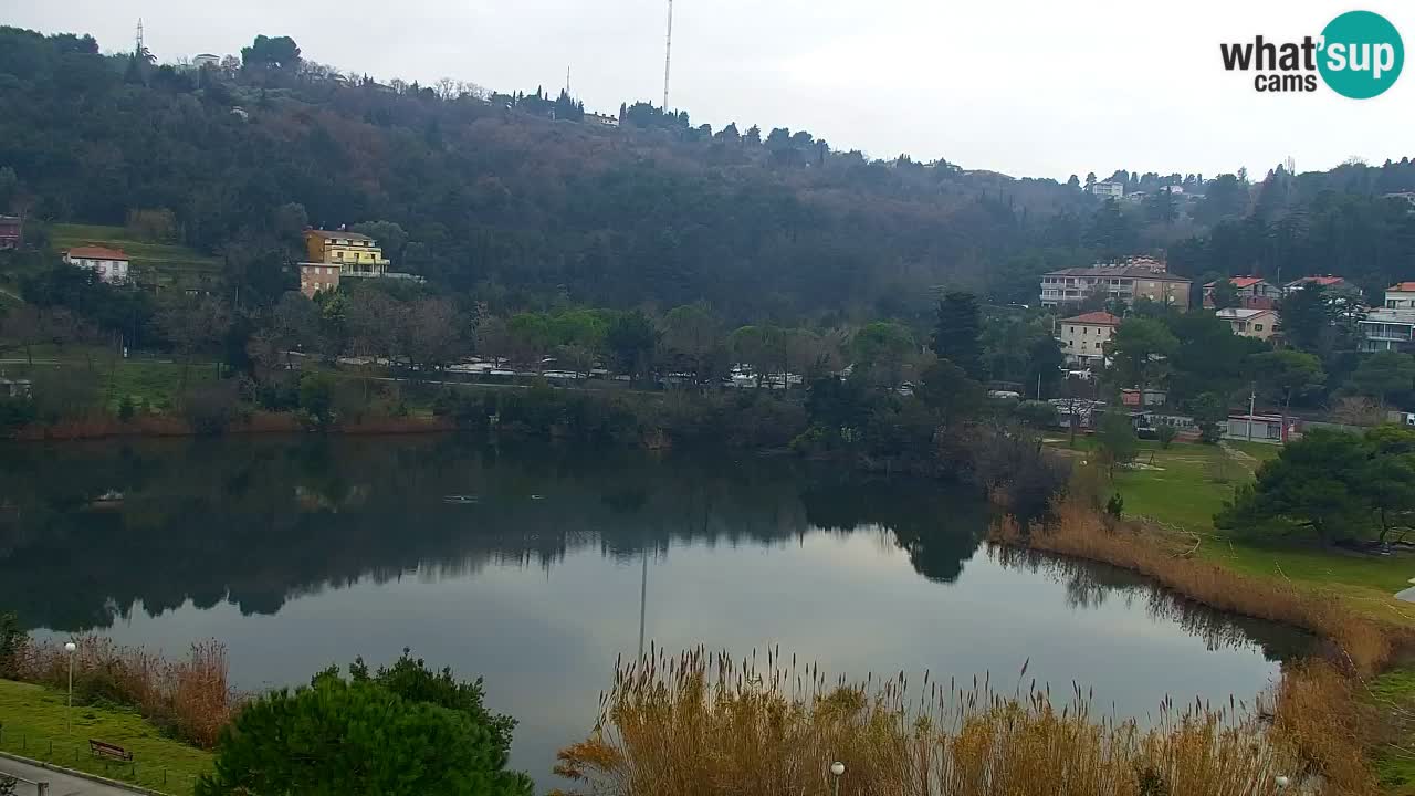 Livecam Fiesa – Hotel Barbara