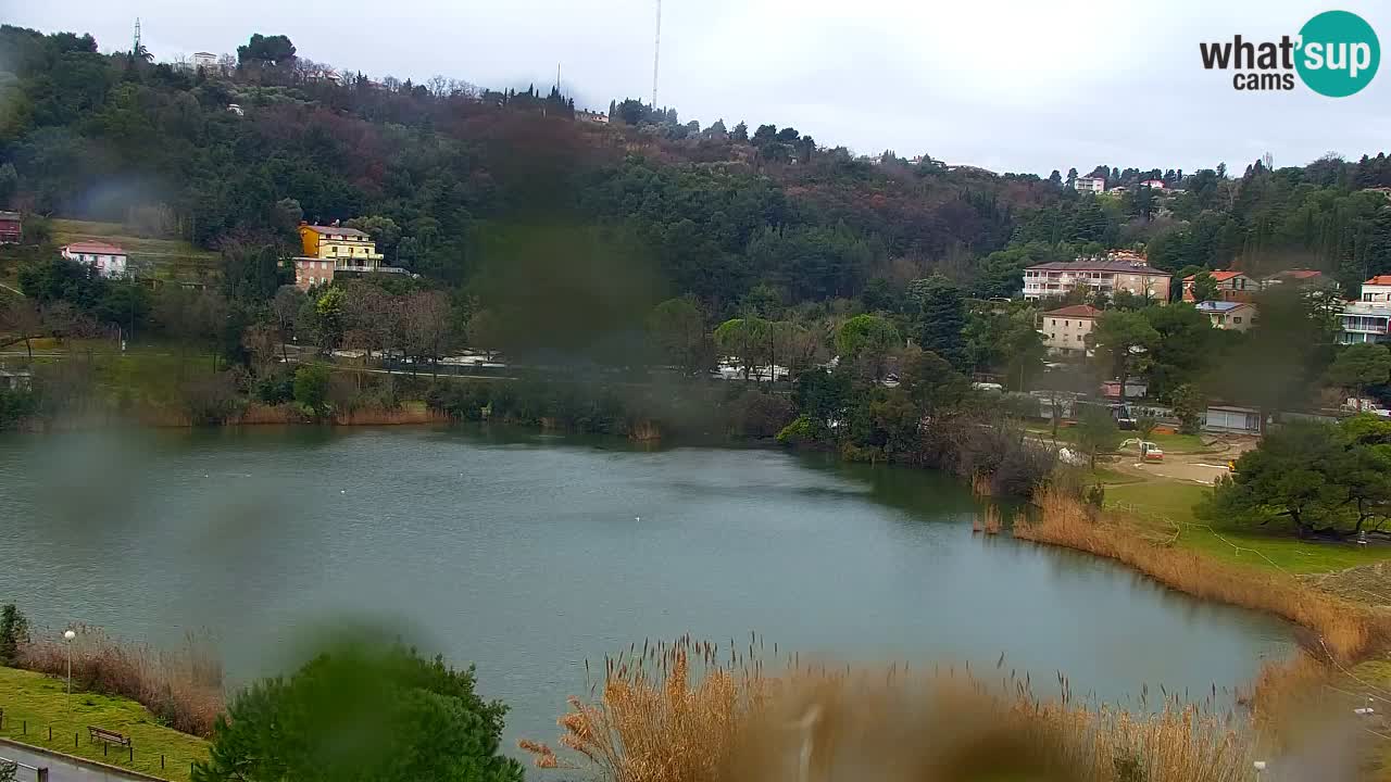 Livecam Fiesa – Hotel Barbara