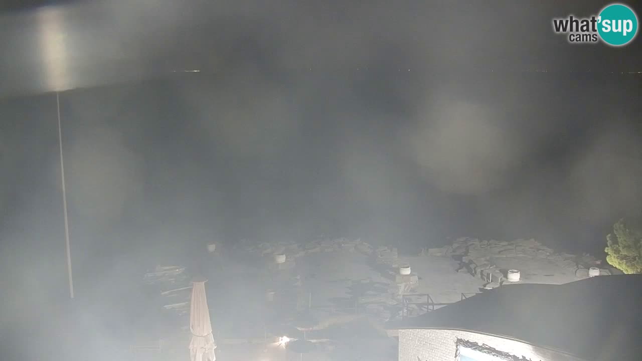 Camera en vivo Fiesa – Hotel Barbara