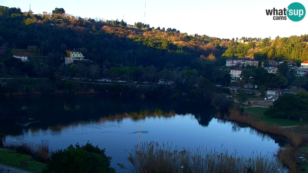 Camera en vivo Fiesa – Hotel Barbara