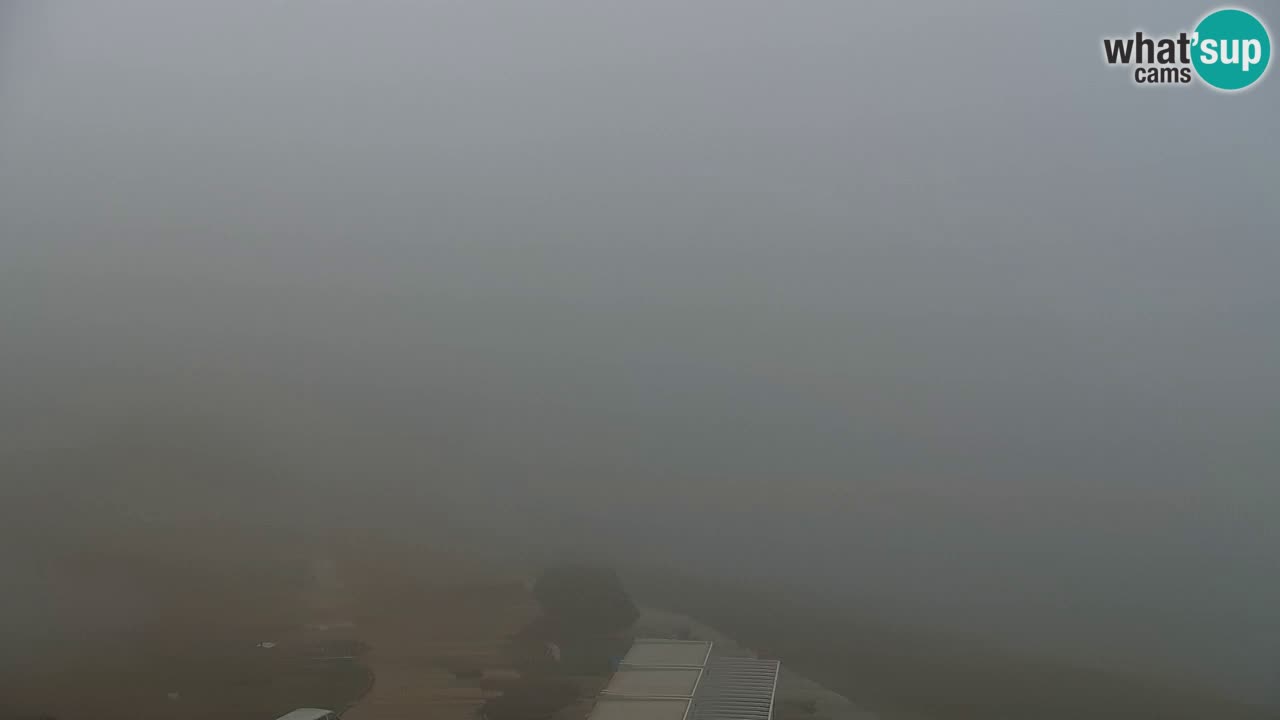 Camera en vivo Fiesa – Hotel Barbara