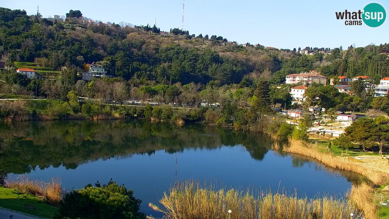 Web kamera Fiesa – Hotel Barbara