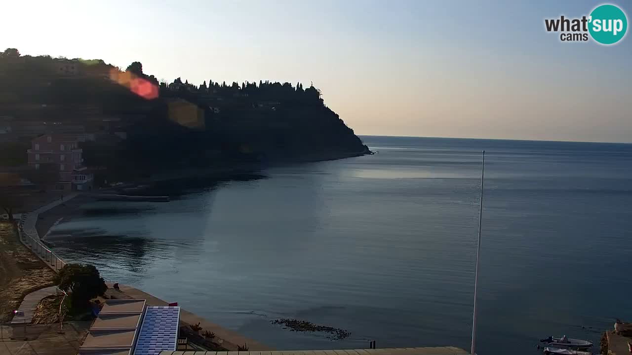 Camera en vivo Fiesa – Hotel Barbara