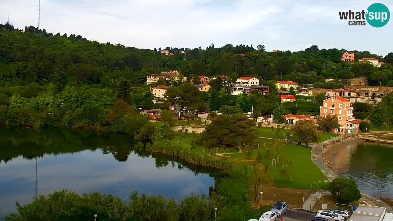 Camera en vivo Fiesa – Hotel Barbara