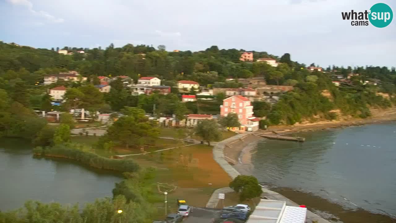 Camera en vivo Fiesa – Hotel Barbara