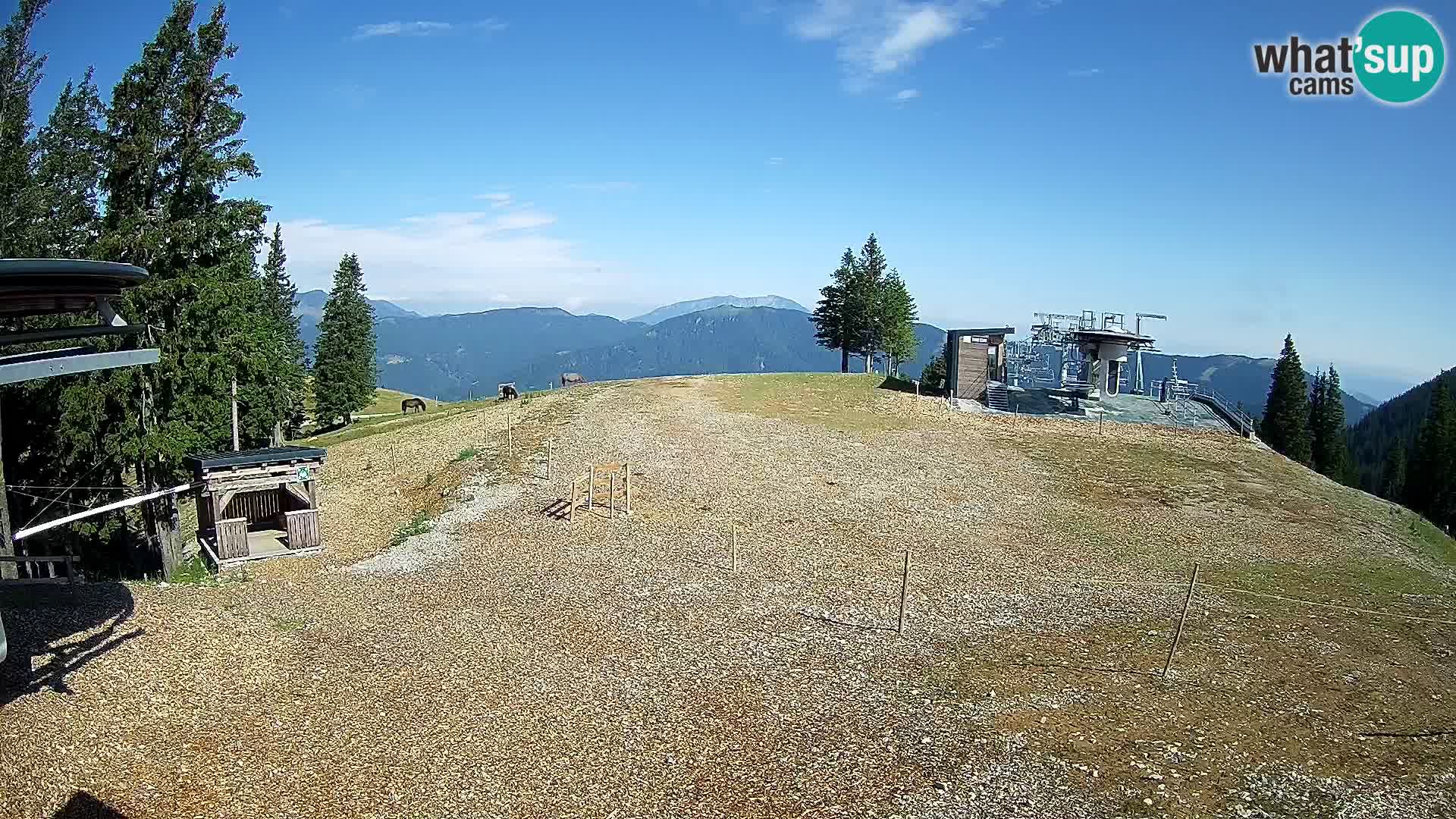 Livecam Stazione sciistica Golte – Hotel Montis