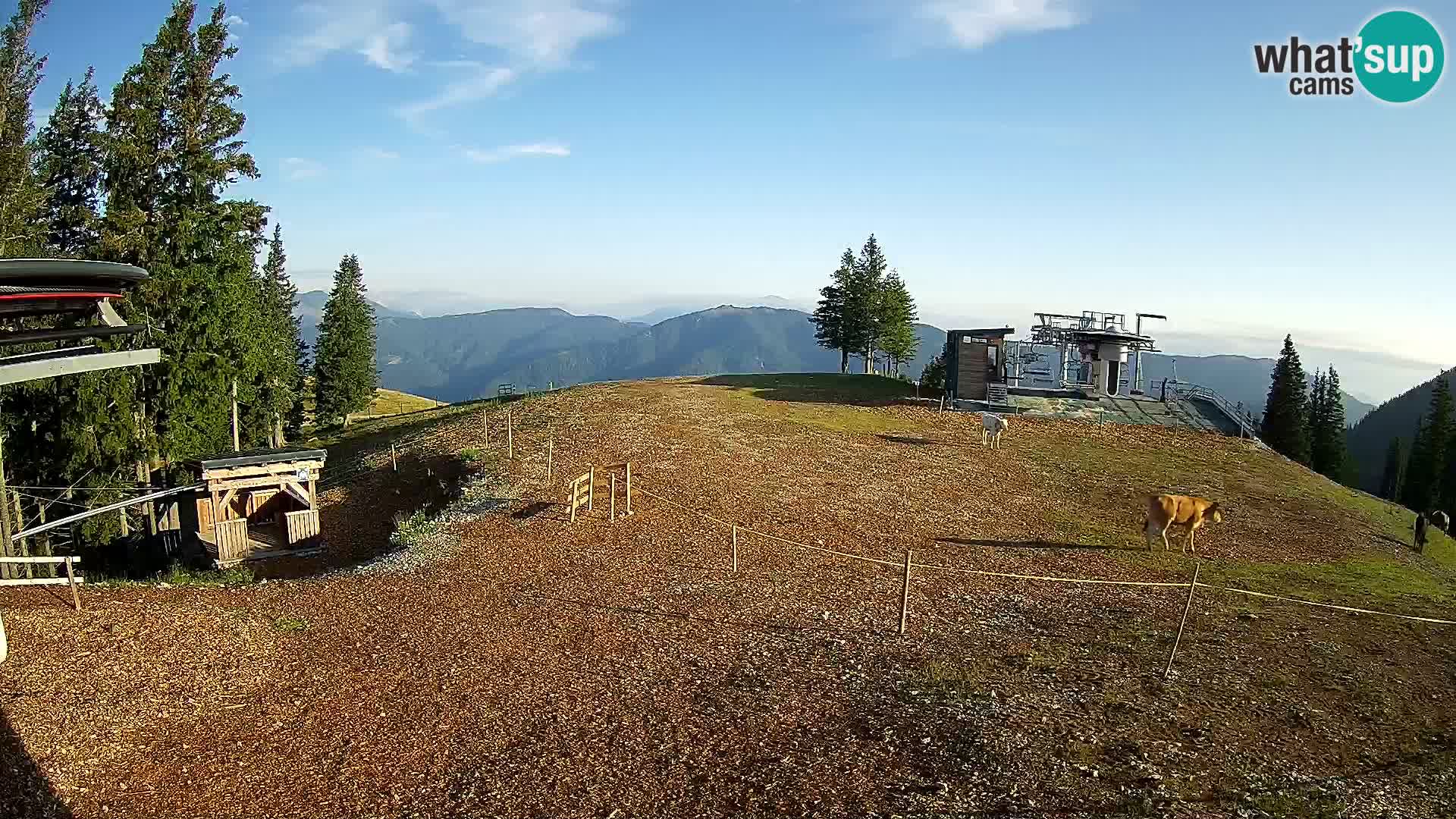 Web kamera Skijalište Golte – Hotel Montis