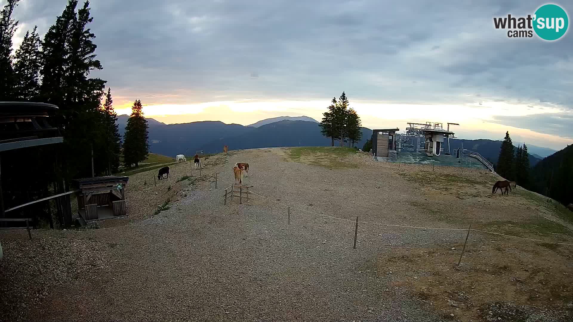 Webcam Ski resort Golte – Hotel Montis